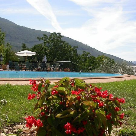 Agriturismo I Mandorli Trevi Buitenkant foto