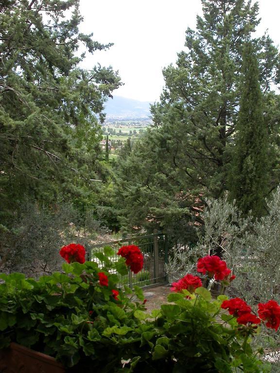 Agriturismo I Mandorli Trevi Buitenkant foto